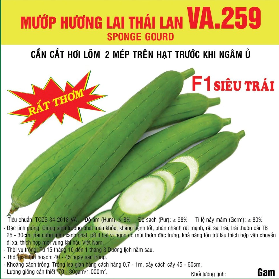 Hạt giống Mướp Hương Lai F1 Thái Lan (VA.259) 5gram