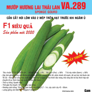 Hạt giống Mướp Hương Lai F1 Thái Lan (VA.289) 5gram