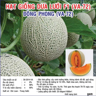 Hạt giống dưa lưới F1 Đông Phong (VA.72) 10 hạt