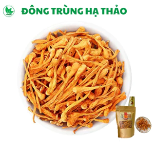 ✅[LOẠI CAO CẤP] Đông Trùng Hạ Thảo Sấy Khô Sợi To Ngon Thơm Hàng Cao Cấp Tự Nhiên Giúp Bồi Bổ Cơ Thể