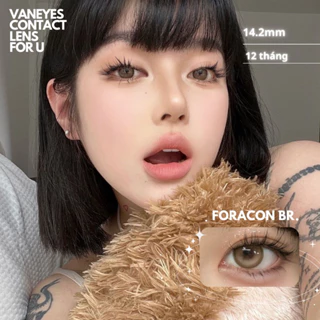 FORACON BROWN Kính áp tròng VANEYES 0-7.5 Độ