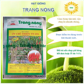 100 Hạt giống ớt chỉ thiên siêu cay (trái nhỏ) Trang Nông