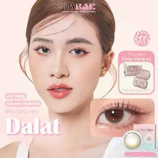 Kính áp tròng Dalat màu nâu trong tự nhiên có độ cận hãng DABAE