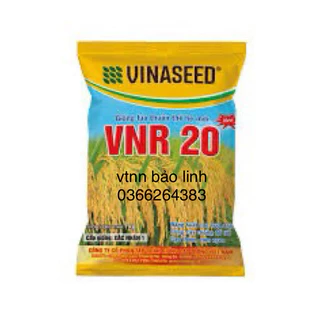 Giống Lúa thuần Thế Hệ Mới VNR20 Gói 1KG.Năng Suất Cao Vượt Trội,Cứng Cây Chống Đổ Tốt,Gạo Thơm,Cơm Ngon.