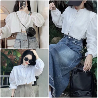 Áo Sơ Mi Nữ Croptop Dài Tay Chất Thô Hàn Unisex Màu Trắng Đi Học, Đi Làm, Văn Phòng, Công sở Cực Xinh Hót 2024