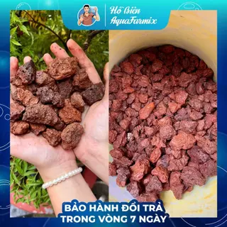 Đá Nham Thạch - Vật liệu lọc nước cho bể cá và hồ thủy sinh