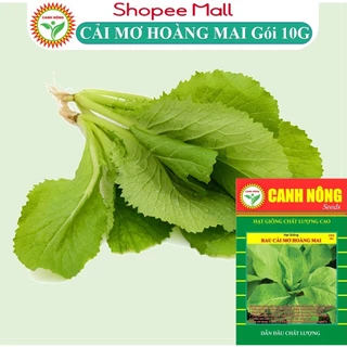 Hạt giống rau cải mơ hoàng - mai cải mơ lùn (cải mơ đăm) Cải Bẹ Xanh Mỡ (10g~000 hạt) chịu nhiệt, dễ nảy mầm, t