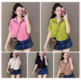 Áo sơ mi đuôi tôm dáng croptop chất thô nến  Hàng bao đẹp nhé khách yêu Sẵn 5 màu như ảnh Sẵn tại MAYASHOP