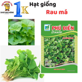 Hạt giống 1k, hạt giống rau Má (1Gr), shop Nhà nông hạt giống giá rẻ