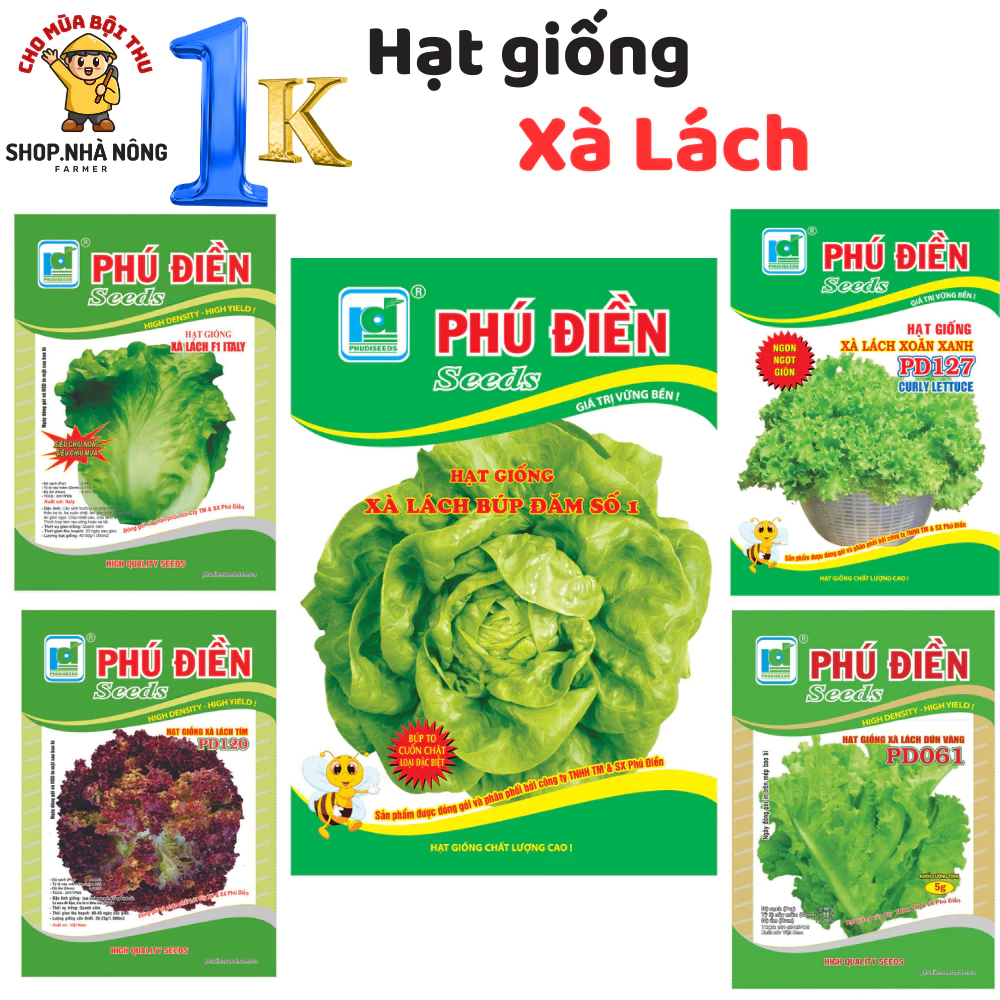 Hạt giống 1k, Hạt giống rau Xà lách các loại, shop Nhà nông hạt giống giá rẻ