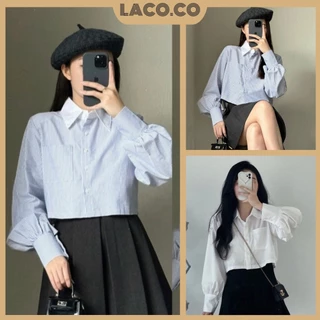 Áo sơ mi croptop kẻ sọc xanh cổ trắng, Áo sơ mi dáng ngắn kiểu MSP LACO70