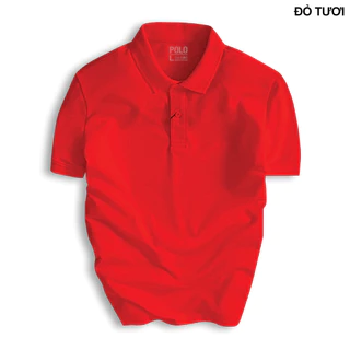 Áo Polo Cổ Bẻ Trơn Basic cổ bẻ vải Cá Sấu Cotton cao cấp chuẩn form