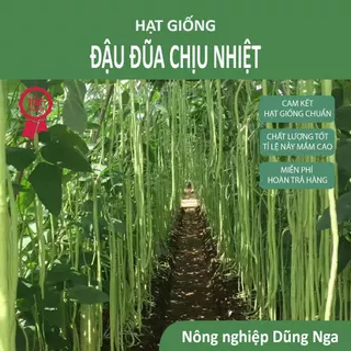 Hạt giống đậu đũa (Thần Nông, Trung Nông) chịu nhiệt tốt siêu năng suất cao