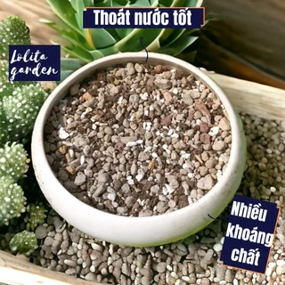 Đất trồng sen đá siêu phẩm trộn sẵn (2kg), đất trồng xương rồng chuyên dụng chuẩn