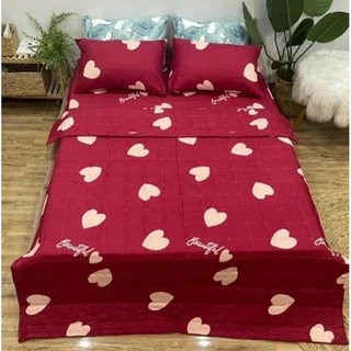 Chăn hè COTTON POLLY, chăn hè 3 lớp trần bông tâm( được chọn mẫu) mền size 1m7-2m