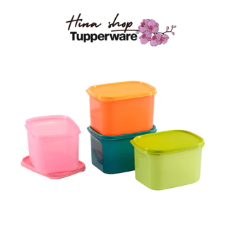 Bộ Hộp Colorful Rectangular set 4 hộp Tupperware dung tích 2L chính hãng