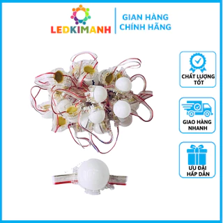 Led Bát Đơn Màu 30mm( 1 Chùm 30 Bóng) 24v  Độ Chống Nước Cao , Có Thể Điều Khiển Theo Lập Trình Full LED