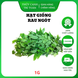 Hạt giống Rau Ngót (1g) - Rau Bồ Ngót trồng quanh năm, sinh trưởng khỏe - Hạt giống Rạng Đông