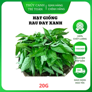 Hạt giống Rau Đay Xanh (20g) nhanh thu hoạch, sinh trưởng khỏe, trồng quanh năm - Hạt giống Rạng Đông