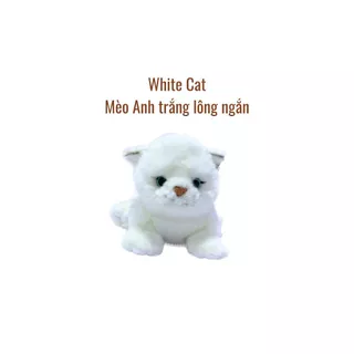 Thú nhồi bông cao cấp BE MY - White Cat - Mèo Anh trắng lông ngắn