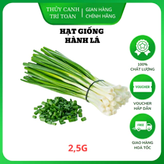 Hạt giống Hành Lá (2,5g) sinh trưởng mạnh, trồng quanh năm - Hạt giống Rạng Đông