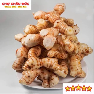 500gr Củ Riềng Tươi Vùng Thất Sơn Dùng Làm Gia Vị Và Dược Liệu