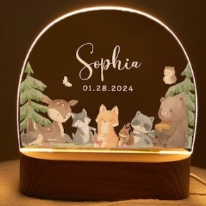 Đèn ngủ Led 3D kiểu dáng thiết kế xinh cho bé yêu - Quà tặng tình yêu, ngày kỷ niệm, ngày cưới, sinh nhật - Tiny Decor
