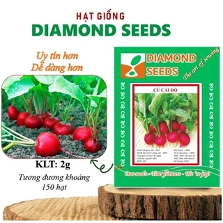 Hạt giống củ cải đỏ cherry chất lượng cao