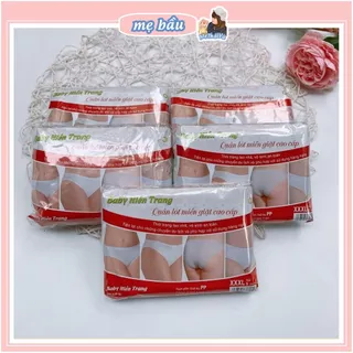 Set 5 quần lót giấy Hiền Trang dùng 1 lần loại đẹp, chất liệu mềm nhẹ, thoải mái methaivu