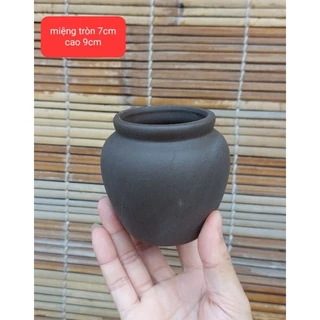 Chậu chum men nâu trồng sen đá bonsai mini gốm bát tràng đẹp