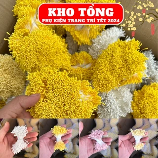 bó 360 nhuỵ hoa bóng mờ