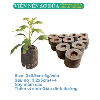 [BÁN SỈ] Viên Nén Xơ Dừa Ươm Hạt Giống (10 viên) viên nén sơ dừa tiện dụng, nảy mầm tốt hơn, sạch 100%