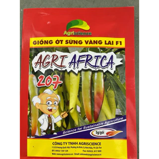 HẠT GIỐNG ỚT SỪNG VÀNG LAI F1 AFRICA 207 (GÓI 5gr)