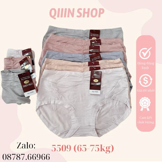 Quần lót cotton lạnh cao cấp 5509