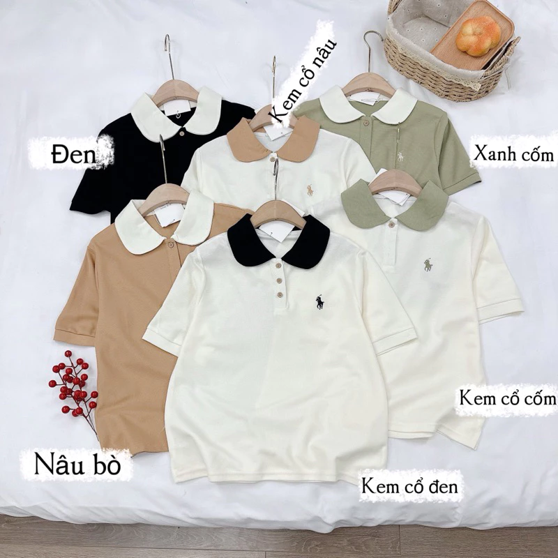 polo cổ sen pha màu thêu ngực