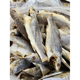 1 kg khô cá đù lớn, hàng lựa size 10 - 12 con / kg