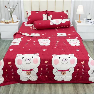 Set 5 món chăn ga gối chất cotton poly, vỏ chăn ga gối bền đẹp nhiều màu sắc 4 size