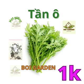 [Deal 1k] 200 hạt giống rau TẦN Ô (6)