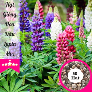 Hạt Giống Hoa Đậu Lupin - Hạt Giống Mầm Xanh