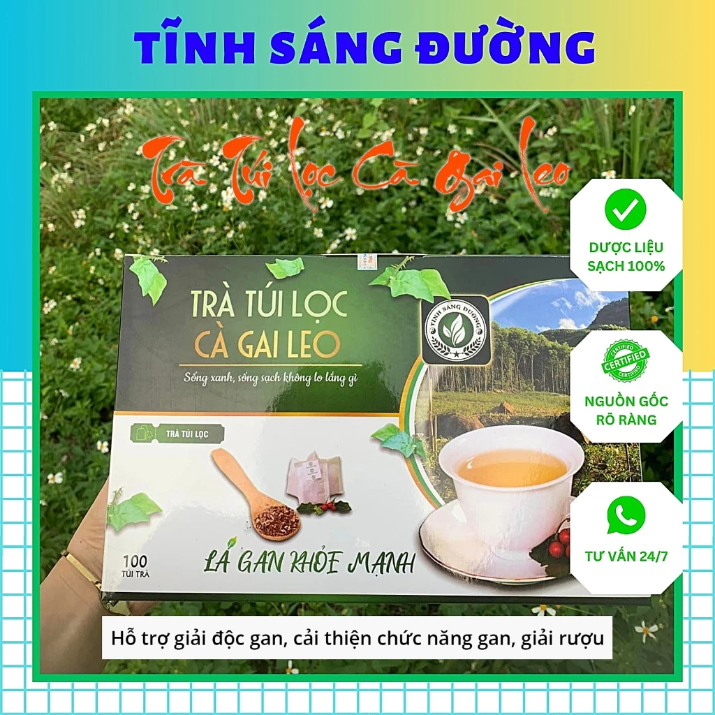 Trà Túi Lọc Cà Gai Leo - Tĩnh Sáng Đường hỗ trợ bảo vệ lá gan cho cả gia đình bạn (100 túi x 2,5g)