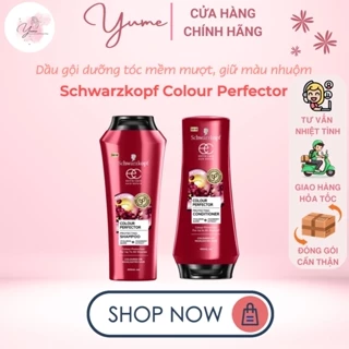 Gội xả dưỡng tóc mềm mượt, giữ màu tóc nhuộm Schwarzkopf Extra Care Colour Perfector Protecting