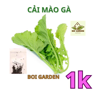 [Deal 1k] 100hạt Hạt giống cải MÀO GÀ (34)