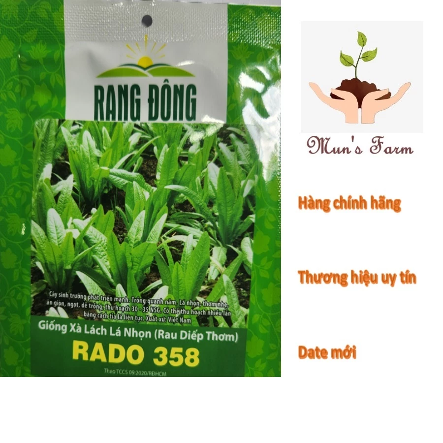 Hạt giống xà lách lá nhọn (rau diếp thơm) Rado 358-gói 10g