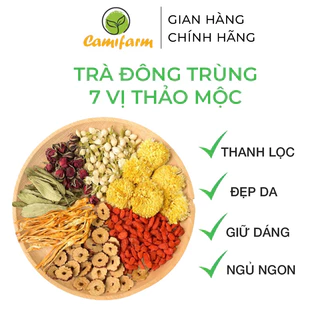 Trà Đông Trùng Hạ Thảo 7 Vị Thảo Mộc Camifarm Thanh Lọc, Đẹp Da, Giữ Dáng, Ngủ Ngon