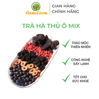 Trà hà thủ ô mix đậu đen, dâu tằm Camifarm giúp đẹp da, đen tóc, giảm gãy rụng tóc