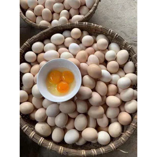 trứng gà á.c so 𝗕𝗮̣𝗻 𝗿𝗮̂́𝘁 𝗸𝗵𝗼́ 𝘁𝗶̀𝗺 𝗺𝘂𝗮 𝘁𝗿𝗲̂𝗻 𝘁𝗵𝗶̣ 𝘁𝗿𝘂̛𝗼̛̀𝗻𝗴-Cái trứng mà trước giờ người sành ăn vẫn tìm mua vì biết