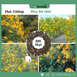 Hạt Giống Hoa Dã Quỳ Vàng - Gói 300 Hạt - AZ Farming