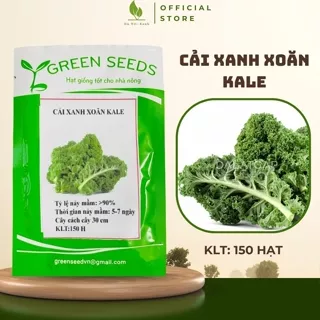 Hạt giống Cải Xanh Xoăn Kale hạt giống rau củ quả trồng quanh năm, hạt giống rau năng suất cao