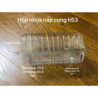 100 hộp nhựa h53 nắp cong