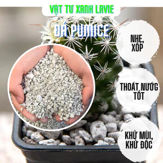 Đá Pumice Cực Phẩm -  Đá bọt núi lửa - Trộn giá thể sen đá, xương rồng, bonsai, cây cảnh, kiểng lá, giữ ẩm